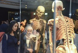 زيارة طلابية إلى متحف الجسد