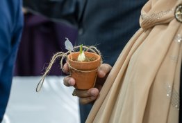 رؤى في علوم الأغذية